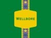 Wellbore Wellbore