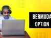 Bermuda Option Bermuda Option