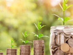 Investment Multiplier Investment Multiplier