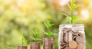 Investment Multiplier Investment Multiplier