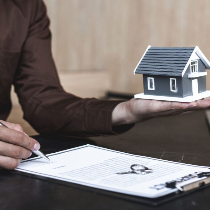 Fannie mae homestyle loan vs 203k