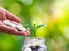 Roth deferral vs Employee deferral Roth deferral vs Employee deferral