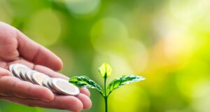 Roth deferral vs Employee deferral Roth deferral vs Employee deferral