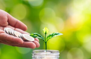 Roth deferral vs Employee deferral Roth deferral vs Employee deferral