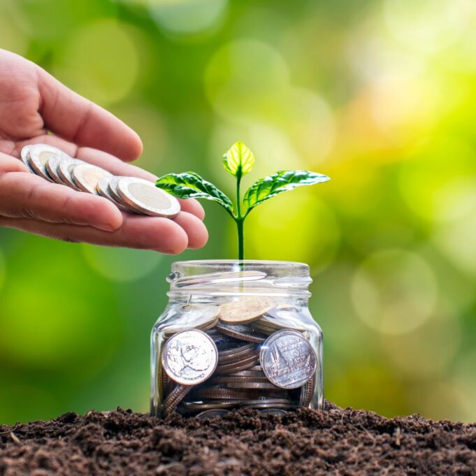 Roth deferral vs Employee deferral Finance Reference