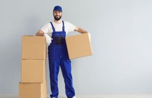 Economy vs Standard Shipping Economy vs Standard Shipping