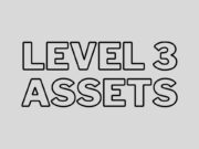 Level 3 Assets: Definition and Characteristics