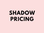 Shadow Pricing: Examples, Uses and Cost-Benefit Analysis Shadow Pricing