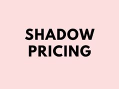 Shadow Pricing: Examples, Uses and Cost-Benefit Analysis Shadow Pricing