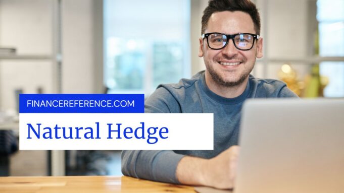 What is a Natural Hedge? Natural Hedge