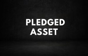 The Pledged Asset: A New Approach to Financing Pledged Asset