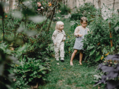 Suggestions On How To Remodel Your Garden On A Budget