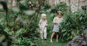 Suggestions On How To Remodel Your Garden On A Budget