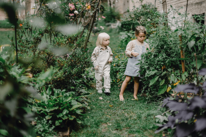 Suggestions On How To Remodel Your Garden On A Budget