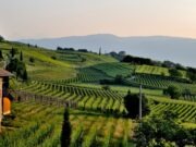 How to Make Money From A Farm? How to Make Money From A Farm