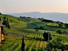 How to Make Money From A Farm? How to Make Money From A Farm