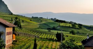 How to Make Money From A Farm? How to Make Money From A Farm