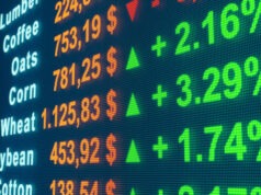 The current state of the stock market