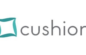 Cushion Bank Fees Reviews- The Ultimate Guide Cushion Bank Fees Reviews