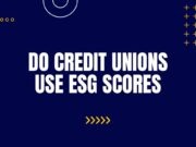 Do Credit Unions Use ESG Scores? Do Credit Unions Use ESG Scores