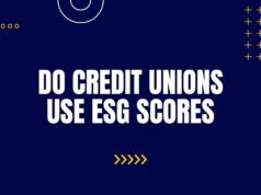 Do Credit Unions Use ESG Scores? Do Credit Unions Use ESG Scores