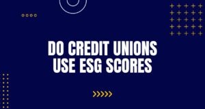 Do Credit Unions Use ESG Scores? Do Credit Unions Use ESG Scores