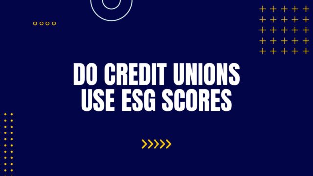 Do Credit Unions Use ESG Scores
