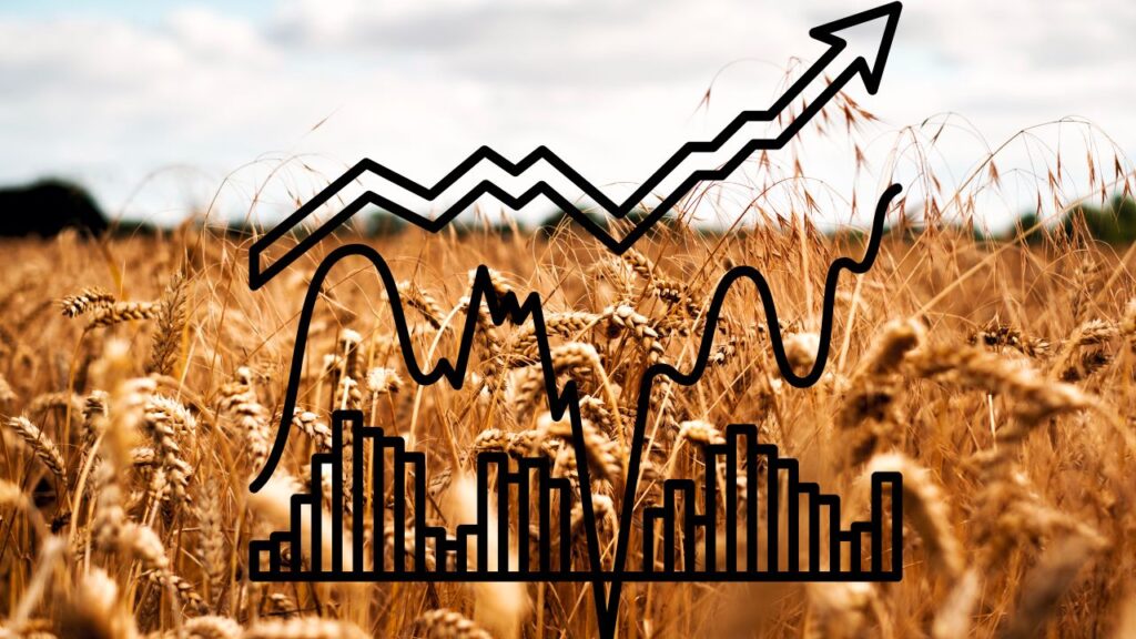 A Beginner's Guide to Investing in Wheat Futures Finance Reference