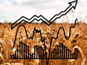 A Beginner’s Guide to Investing in Wheat Futures Investing in Wheat Futures
