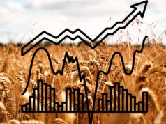 A Beginner’s Guide to Investing in Wheat Futures Investing in Wheat Futures