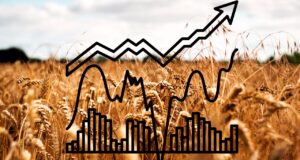 A Beginner’s Guide to Investing in Wheat Futures Investing in Wheat Futures