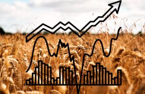 A Beginner’s Guide to Investing in Wheat Futures Investing in Wheat Futures
