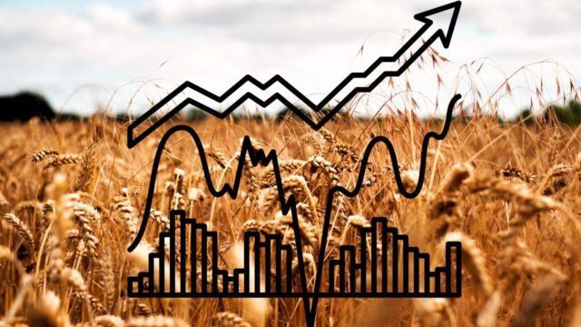 Investing in Wheat Futures