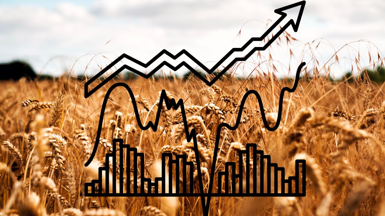 A Beginner's Guide to Investing in Wheat Futures Finance Reference
