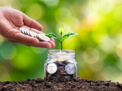 Maximizing the Potential of Lump Sum Investments Lump Sum Investments