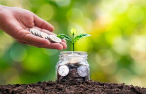 Maximizing the Potential of Lump Sum Investments Lump Sum Investments