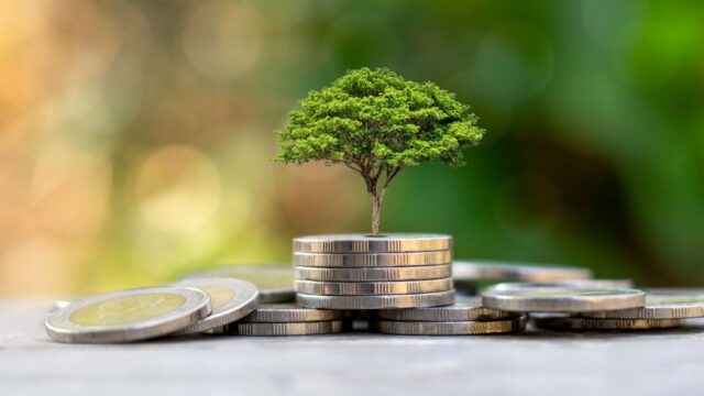 Where to Invest After Maxing Out Your 401(k) Where to Invest After Maxing Out Your 401(k)?