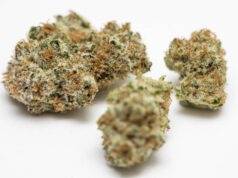 Delta-8 THC: What It Is and How It Differs from Delta-9 THC