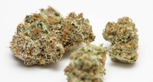 Delta-8 THC: What It Is and How It Differs from Delta-9 THC