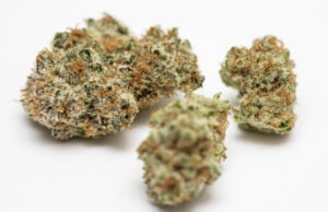 Delta-8 THC: What It Is and How It Differs from Delta-9 THC