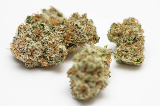 Marijuana nugget also referred to as pot and weed against a white background