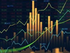 The team behind Floki: Who are the developers and advisors?