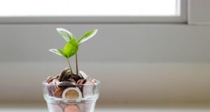 Increase Your Budget With These 7 Simple Suggestions