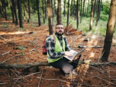 Exploring the Role and Impact of Forestry Logging Loans in Sustainable Forest Management