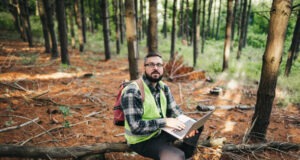 Exploring the Role and Impact of Forestry Logging Loans in Sustainable Forest Management