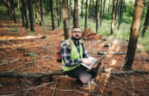 Exploring the Role and Impact of Forestry Logging Loans in Sustainable Forest Management