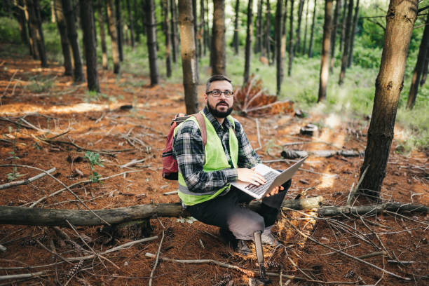 Forest evaluation