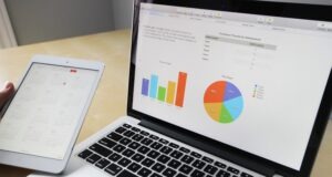 The Basics of Investing in the US Stock Market