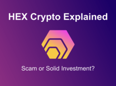 HEX Crypto Explained: Scam or a Solid Investment?