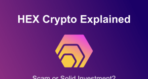 HEX Crypto Explained: Scam or a Solid Investment?